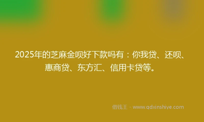 2025年的芝麻金呗好下款吗有：你我贷、还呗、惠商贷、东方汇、信用卡贷等。