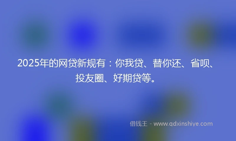 2025年的网贷新规有：你我贷、替你还、省呗、投友圈、好期贷等。