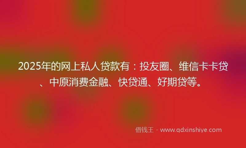2025年的网上私人贷款有：投友圈、维信卡卡贷、中原消费金融、快贷通、好期贷等。