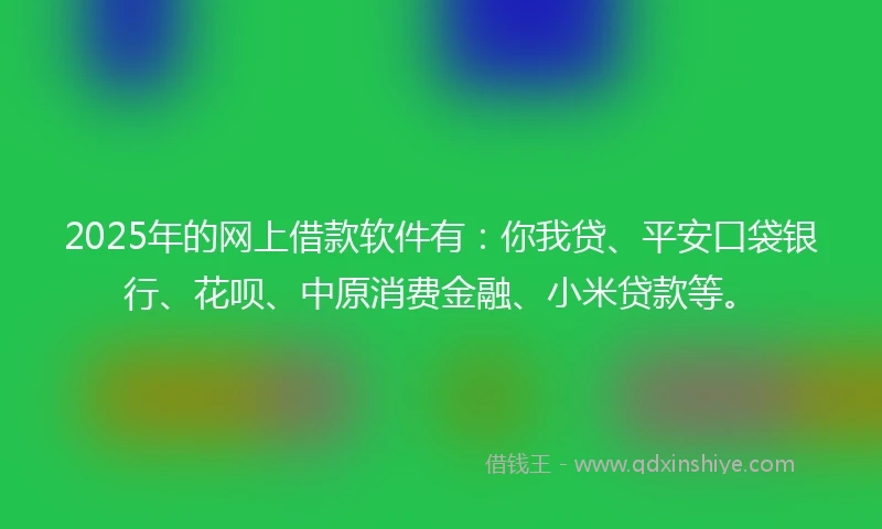 2025年的网上借款软件有：你我贷、平安口袋银行、花呗、中原消费金融、小米贷款等。