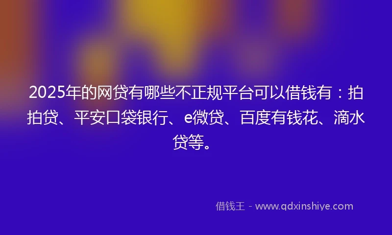 2025年的网贷有哪些不正规平台可以借钱有：拍拍贷、平安口袋银行、e微贷、百度有钱花、滴水贷等。