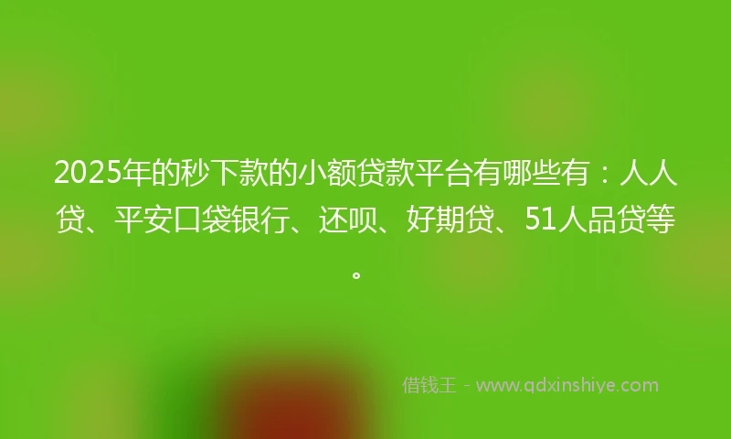 2025年的秒下款的小额贷款平台有哪些有：人人贷、平安口袋银行、还呗、好期贷、51人品贷等。
