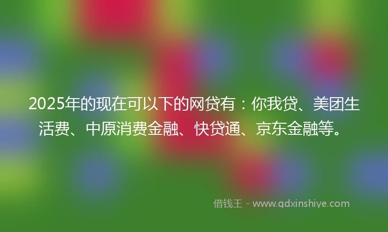 2025年的现在可以下的网贷有：你我贷、美团生活费、中原消费金融、快贷通、京东金融等。