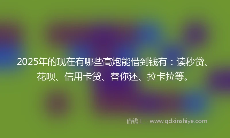 2025年的现在有哪些高炮能借到钱有:读秒贷、花呗、信用卡贷、替你还、拉卡拉等。