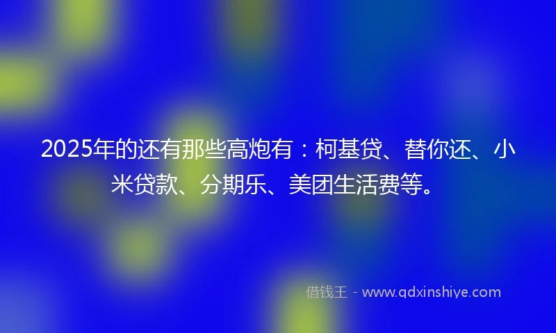 2025年的还有那些高炮有：柯基贷、替你还、小米贷款、分期乐、美团生活费等。