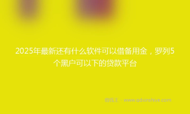 2025年最新还有什么软件可以借备用金，罗列5个黑户可以下的贷款平台