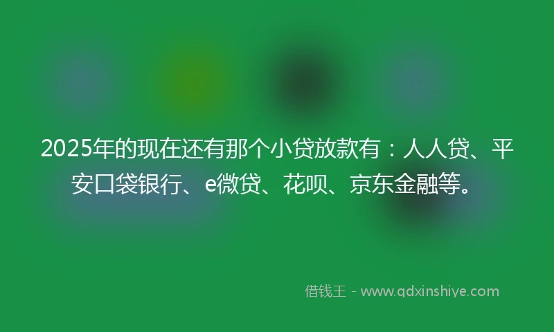 2025年的现在还有那个小贷放款有：人人贷、平安口袋银行、e微贷、花呗、京东金融等。