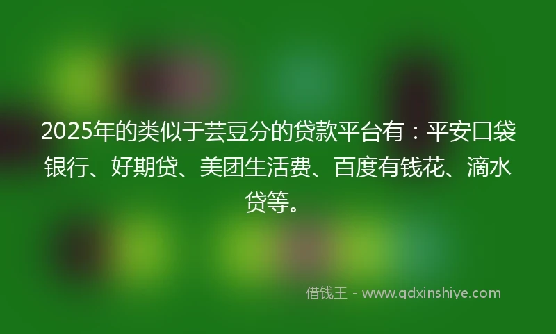 2025年的类似于芸豆分的贷款平台有：平安口袋银行、好期贷、美团生活费、百度有钱花、滴水贷等。