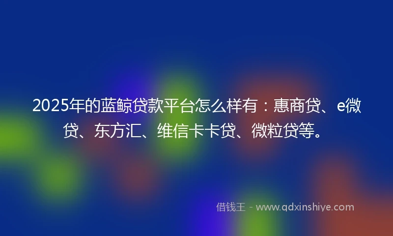 2025年的蓝鲸贷款平台怎么样有：惠商贷、e微贷、东方汇、维信卡卡贷、微粒贷等。