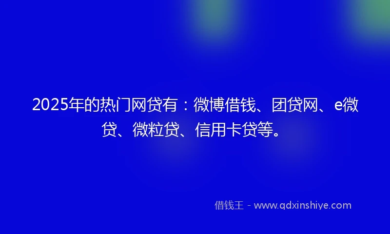 2025年的热门网贷有：微博借钱、团贷网、e微贷、微粒贷、信用卡贷等。