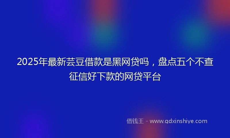 2025年最新芸豆借款是黑网贷吗，盘点五个不查征信好下款的网贷平台