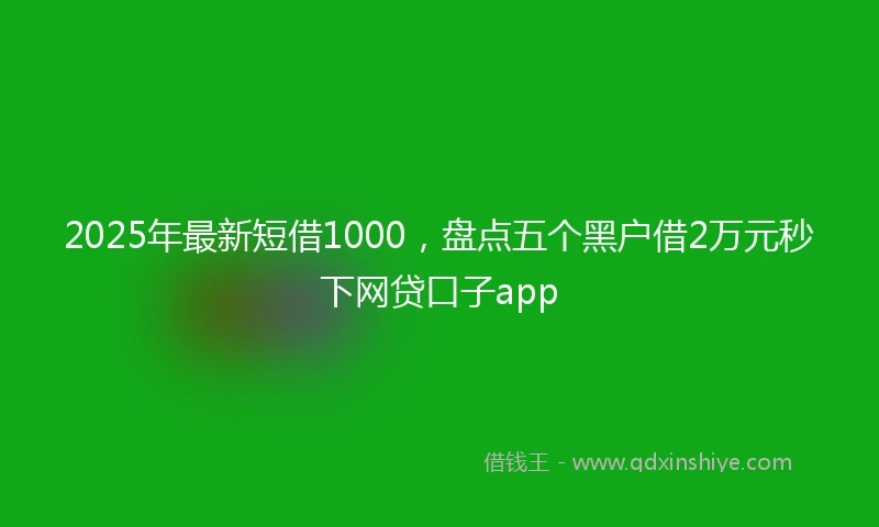 2025年最新短借1000，盘点五个黑户借2万元秒下网贷口子app