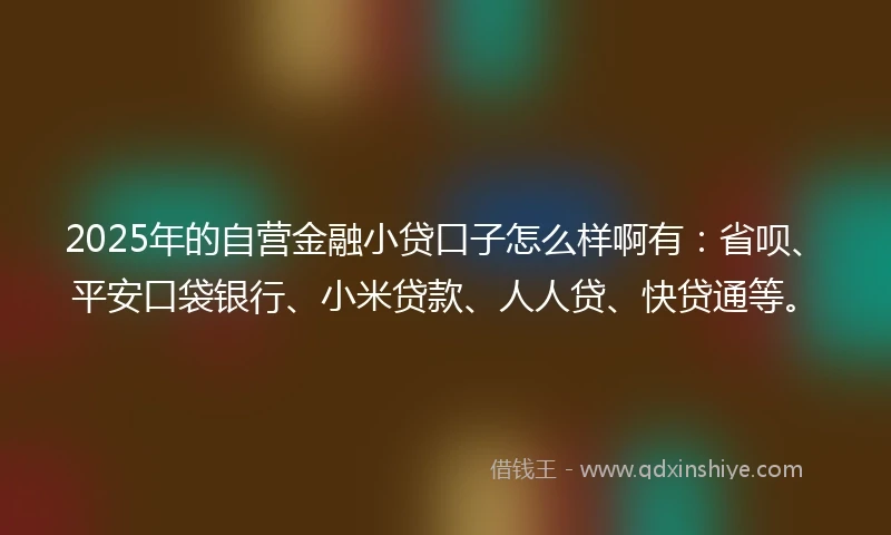 2025年的自营金融小贷口子怎么样啊有：省呗、平安口袋银行、小米贷款、人人贷、快贷通等。