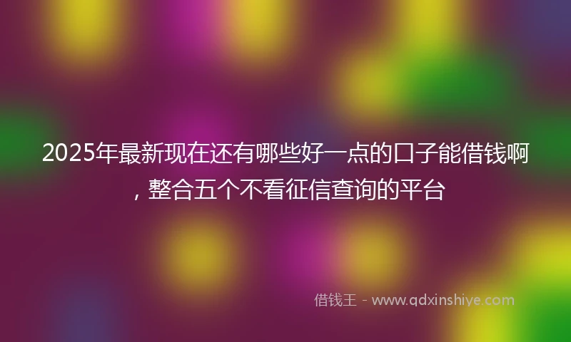 2025年最新现在还有哪些好一点的口子能借钱啊，整合五个不看征信查询的平台