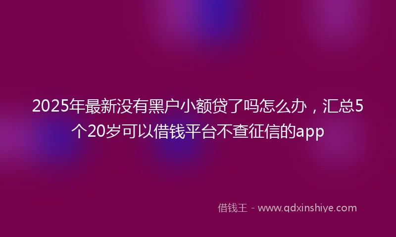 2025年最新没有黑户小额贷了吗怎么办，汇总5个20岁可以借钱平台不查征信的app