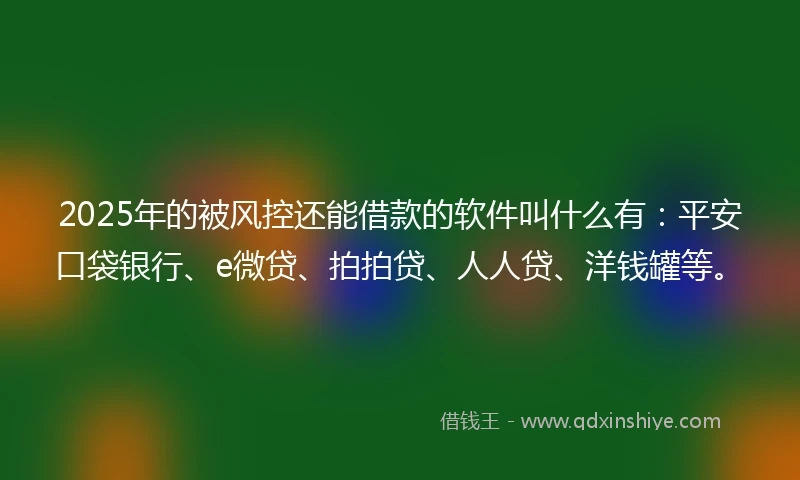 2025年的被风控还能借款的软件叫什么有:平安口袋银行、e微贷、拍拍贷、人人贷、洋钱罐等。