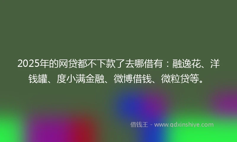 2025年的网贷都不下款了去哪借有：融逸花、洋钱罐、度小满金融、微博借钱、微粒贷等。