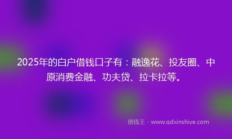 2025年的白户借钱口子有：融逸花、投友圈、中原消费金融、功夫贷、拉卡拉等。