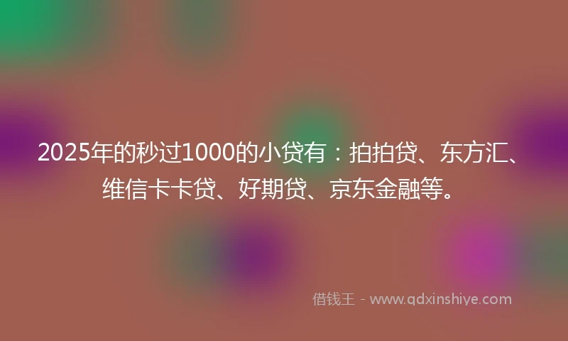 2025年的秒过1000的小贷有：拍拍贷、东方汇、维信卡卡贷、好期贷、京东金融等。