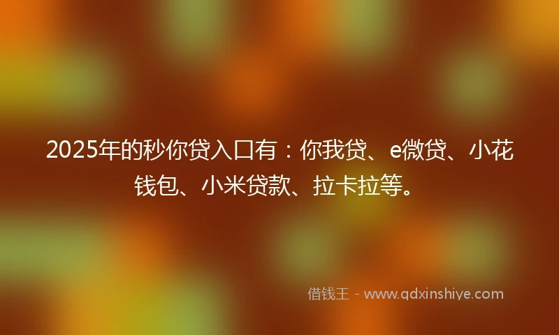 2025年的秒你贷入口有：你我贷、e微贷、小花钱包、小米贷款、拉卡拉等。