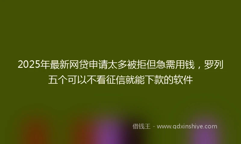 2025年最新网贷申请太多被拒但急需用钱，罗列五个可以不看征信就能下款的软件