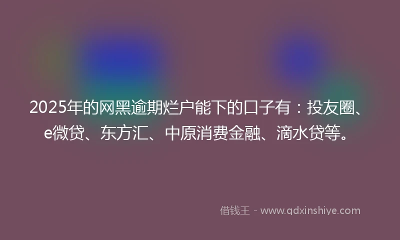 2025年的网黑逾期烂户能下的口子有：投友圈、e微贷、东方汇、中原消费金融、滴水贷等。