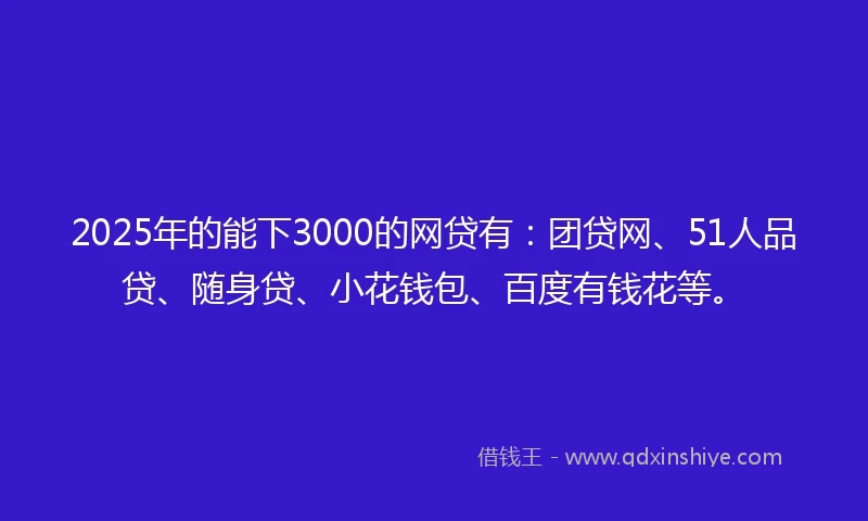2025年的能下3000的网贷有：团贷网、51人品贷、随身贷、小花钱包、百度有钱花等。