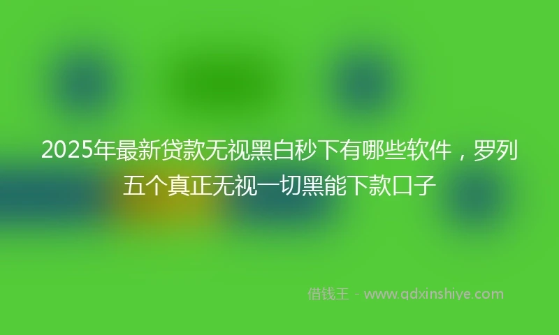2025年最新贷款无视黑白秒下有哪些软件，罗列五个真正无视一切黑能下款口子