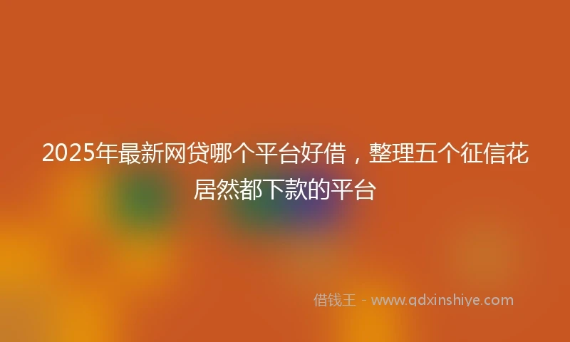 2025年最新网贷哪个平台好借，整理五个征信花居然都下款的平台