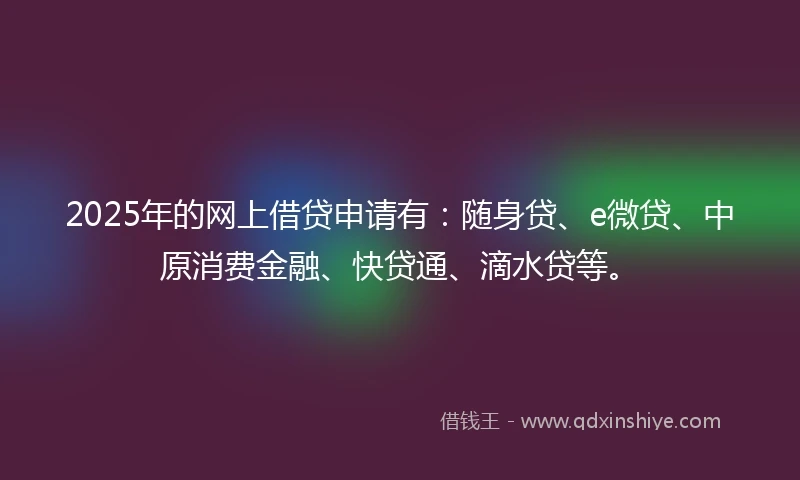 2025年的网上借贷申请有：随身贷、e微贷、中原消费金融、快贷通、滴水贷等。