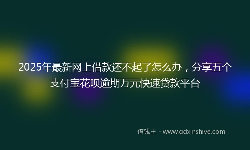 2025年最新网上借款还不起了怎么办，分享五个支付宝花呗逾期万元快速贷款平台