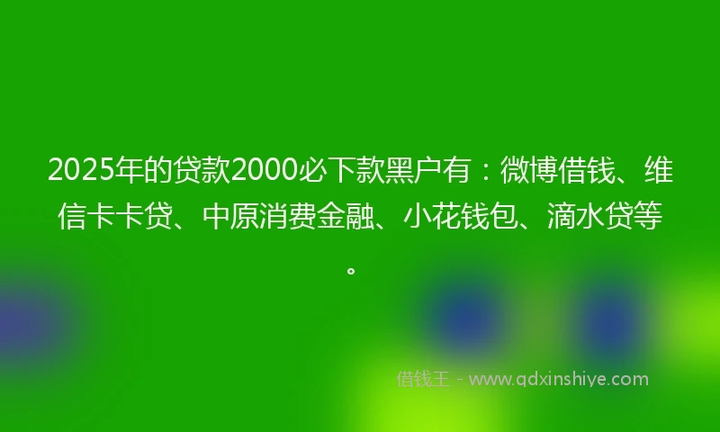 2025年的贷款2000必下款黑户有：微博借钱、维信卡卡贷、中原消费金融、小花钱包、滴水贷等。
