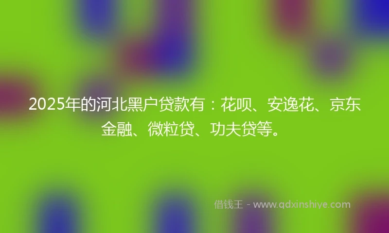 2025年的河北黑户贷款有：花呗、安逸花、京东金融、微粒贷、功夫贷等。