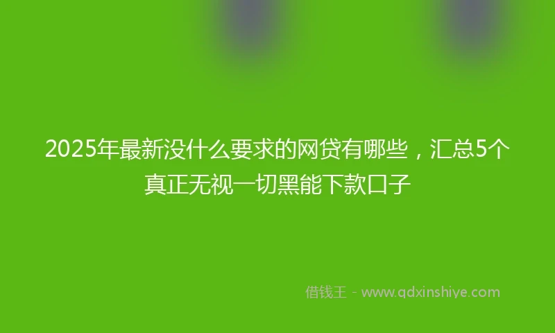 2025年最新没什么要求的网贷有哪些，汇总5个真正无视一切黑能下款口子