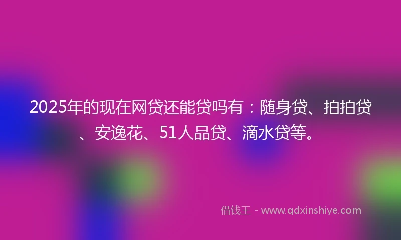 2025年的现在网贷还能贷吗有：随身贷、拍拍贷、安逸花、51人品贷、滴水贷等。