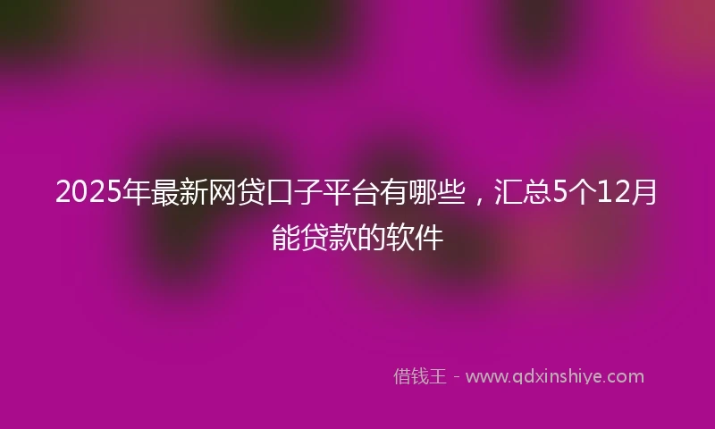 2025年最新网贷口子平台有哪些，汇总5个12月能贷款的软件