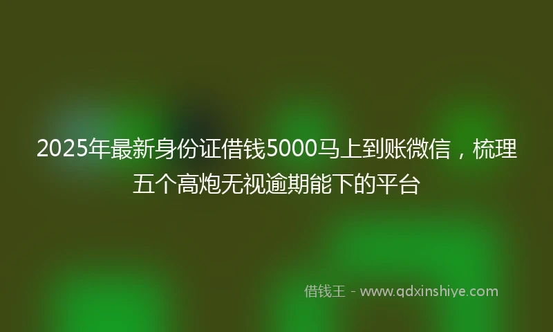 2025年最新身份证借钱5000马上到账微信，梳理五个高炮无视逾期能下的平台
