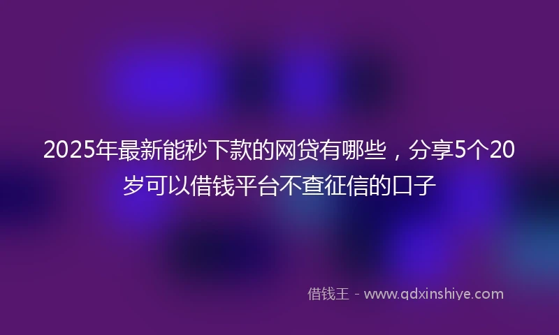 2025年最新能秒下款的网贷有哪些,分享5个20岁可以借钱平台不查征信的口子