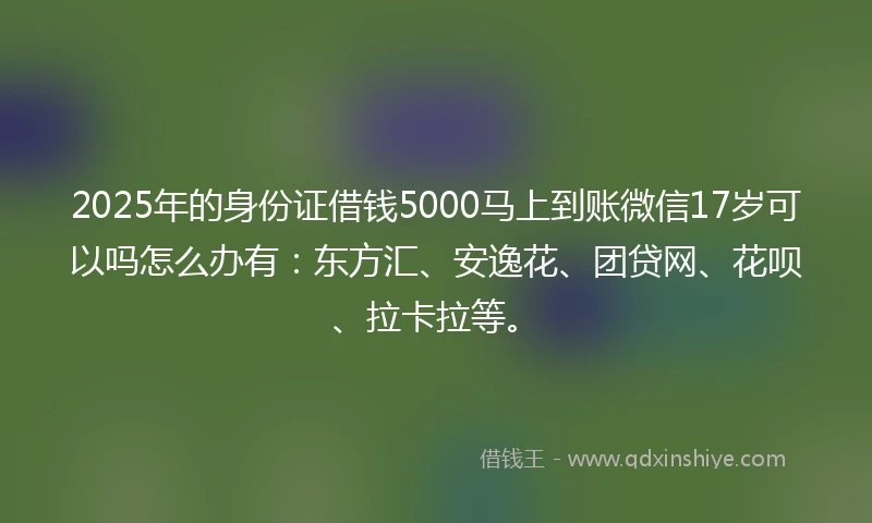 2025年的身份证借钱5000马上到账微信17岁可以吗怎么办有：东方汇、安逸花、团贷网、花呗、拉卡拉等。