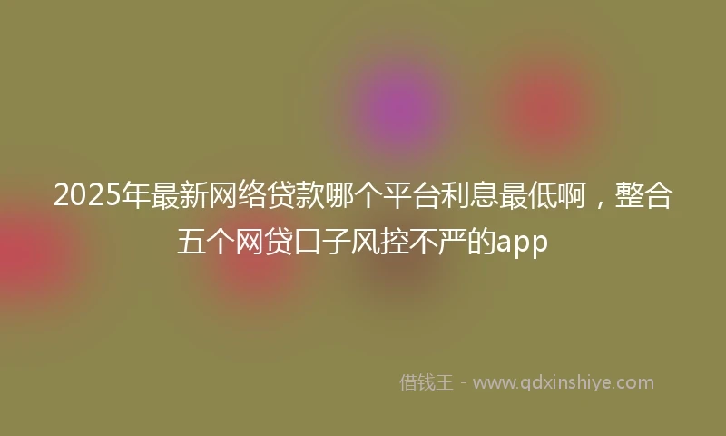 2025年最新网络贷款哪个平台利息最低啊，整合五个网贷口子风控不严的app