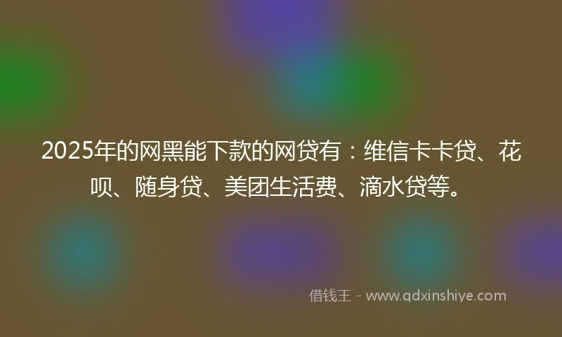 2025年的网黑能下款的网贷有：维信卡卡贷、花呗、随身贷、美团生活费、滴水贷等。