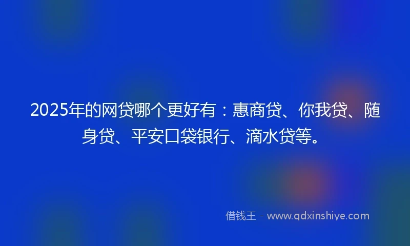2025年的网贷哪个更好有：惠商贷、你我贷、随身贷、平安口袋银行、滴水贷等。