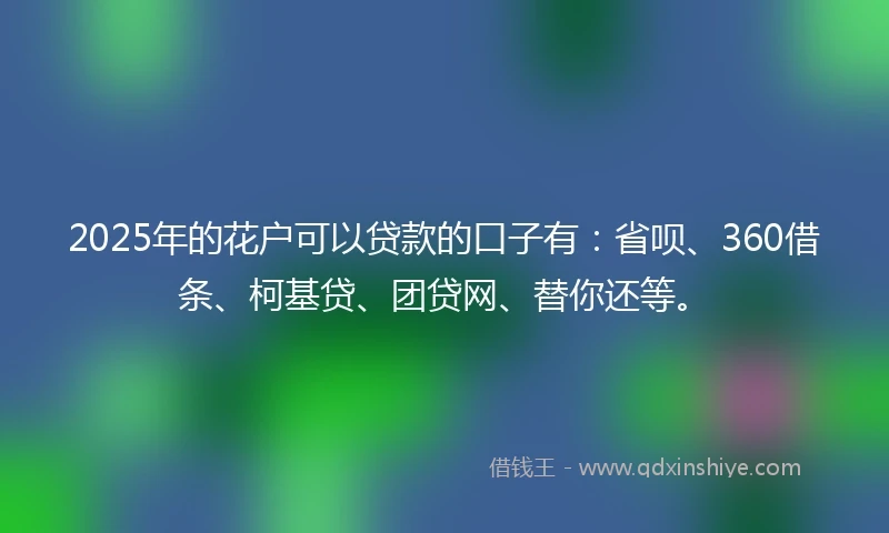 2025年的花户可以贷款的口子有：省呗、360借条、柯基贷、团贷网、替你还等。