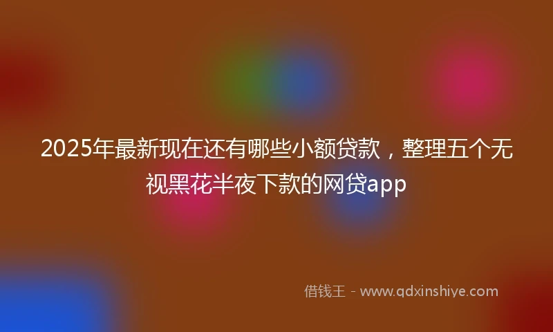 2025年最新现在还有哪些小额贷款，整理五个无视黑花半夜下款的网贷app