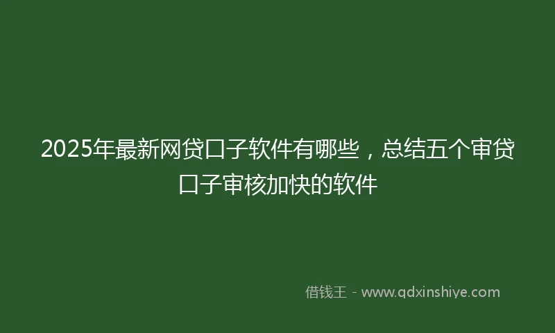 2025年最新网贷口子软件有哪些，总结五个审贷口子审核加快的软件