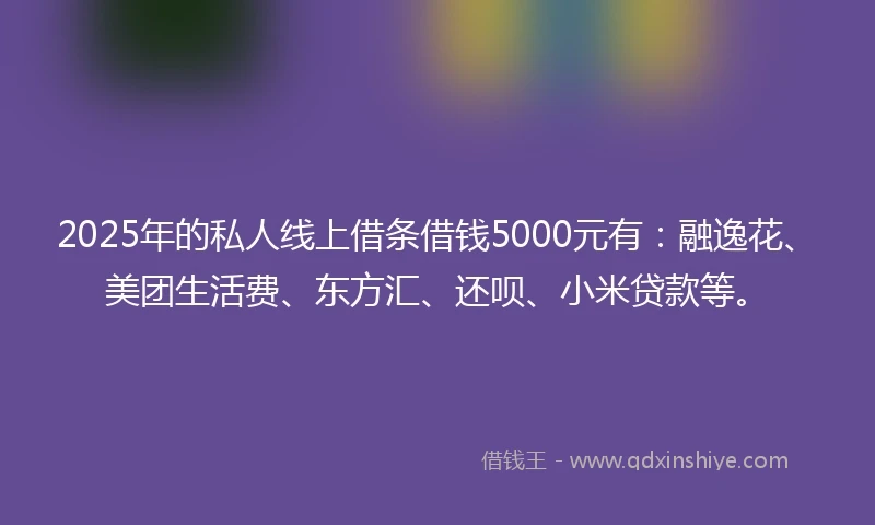 2025年的私人线上借条借钱5000元有：融逸花、美团生活费、东方汇、还呗、小米贷款等。