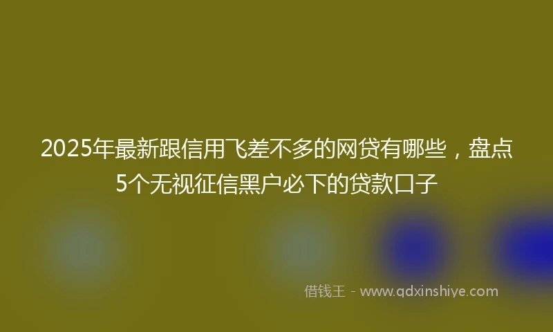 2025年最新跟信用飞差不多的网贷有哪些，盘点5个无视征信黑户必下的贷款口子