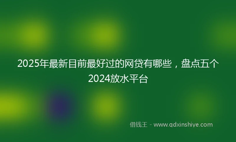 2025年最新目前最好过的网贷有哪些，盘点五个2024放水平台