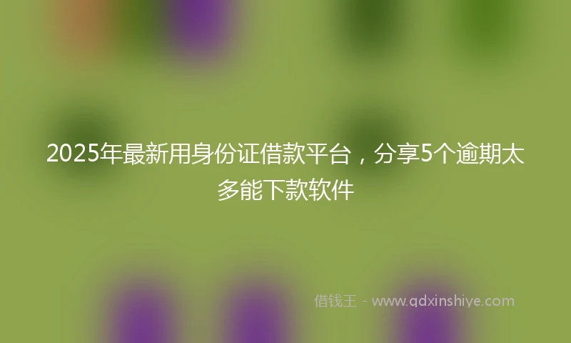 2025年最新用身份证借款平台，分享5个逾期太多能下款软件