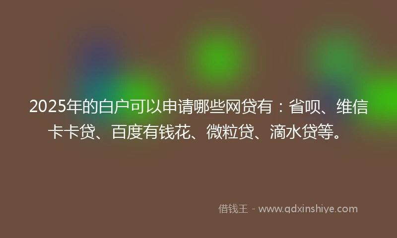 2025年的白户可以申请哪些网贷有：省呗、维信卡卡贷、百度有钱花、微粒贷、滴水贷等。